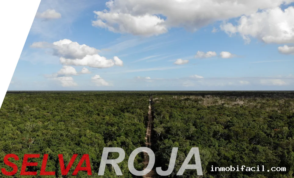 Selva Roja