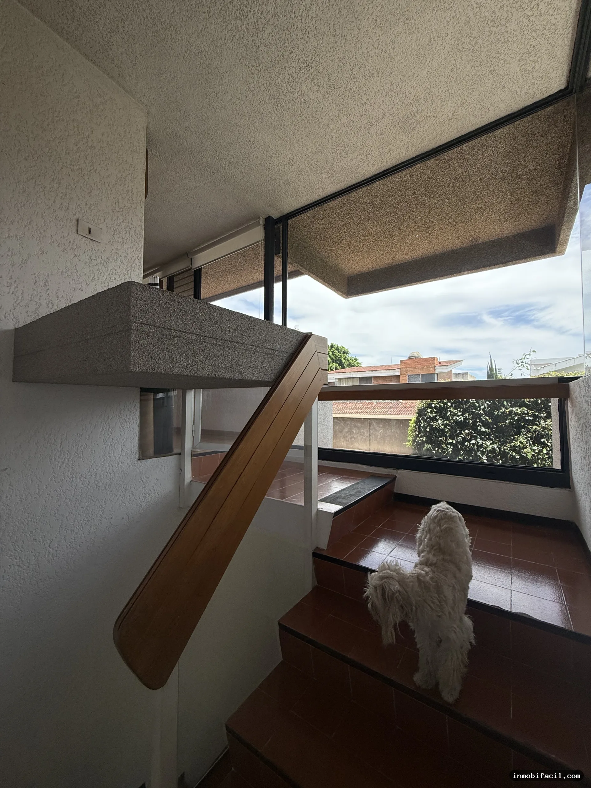 Foto 58 de Casa en Venta en Las Ánimas | 328 m² de Terreno | $9.6 Mdp